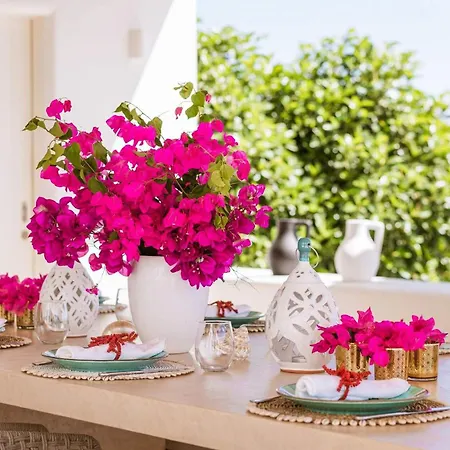 Apartment Lya